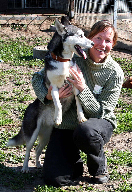 Animal Hoarding Fall Hohengörsdorf 