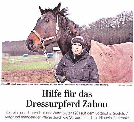 Hilfe für das Dressurpferd Zabou