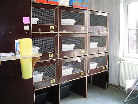 Igelboxen
