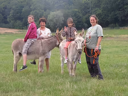 Esel Lotti und Darwin mit Kindern