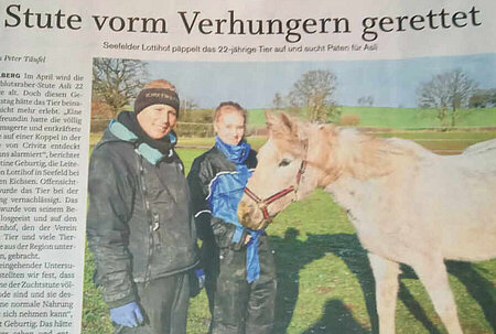 Stute vor dem verhungern gerettet 