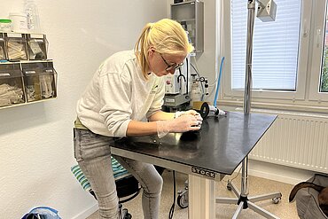 Tierärztin Karoline Schütte bei der Untersuchung.