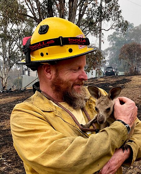 Känguru mit Feuerwehrmann