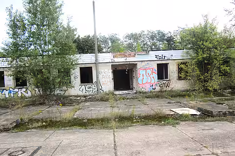 In Zossen erhängte Katze In Zossen erhängte Katze