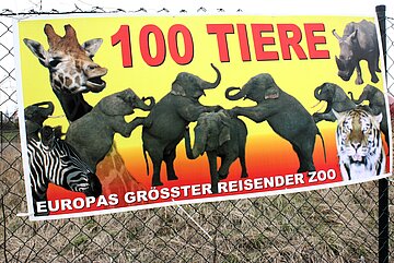 Eine Haltung im Zirkus kann den natürlichen Bedürfnissen von Wildtieren nicht ansatzweise gerecht werden.