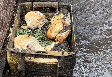 Brötchen und süße Hefestücke sind für Tiere schädlich