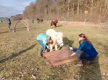 Auf die Holzpalette zu steigen, kostet Überwindung.