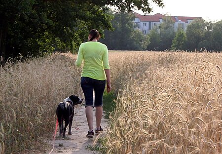 Gemeinsam etwas erleben und entdecken stärkt die Mensch-Tier-Beziehung. Gemeinsam etwas erleben und entdecken stärkt die Mensch-Tier-Beziehung.