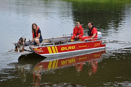 Hund im Einsatz bei der DLRG Wasserrettung.