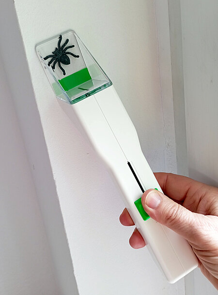 Insektenfänger