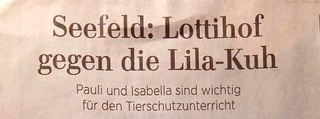 Lottihof gegen die lila Kuh 