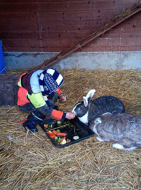 Besucherkind beim füttern der Kaninchen