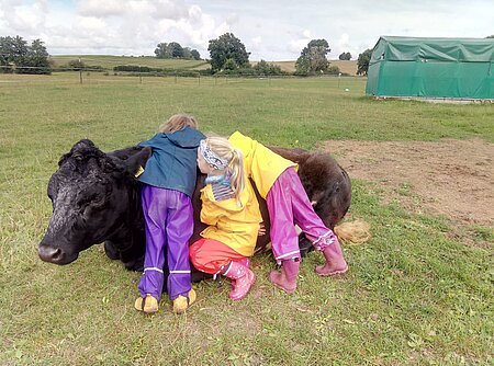 Die Kuh "Isabella" mit Kindern.