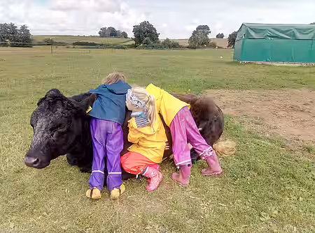 Die Kuh "Isabella" mit Kindern.