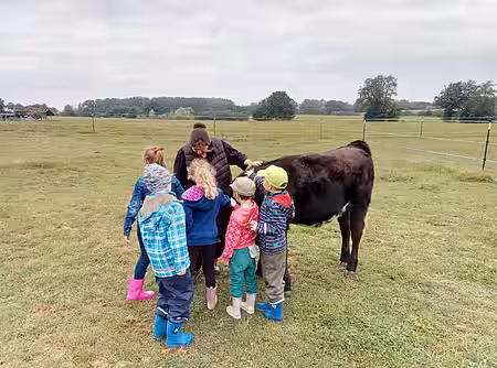 Kinder der KITA Vietlübbe begrüßen Kälbchen Pauli. Kinder der KITA Vietlübbe begrüßen Kälbchen Pauli.