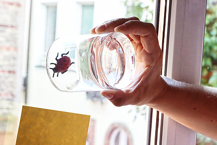 Insekt im Glas