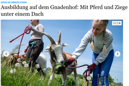 "Ausbildung auf dem Gnadenhof: Mit Pferd und Ziege unter einem Dach"