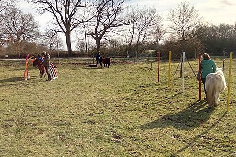 Kinder mit den Ponys auf unserem selbst gebauten Pferdeparcours. 