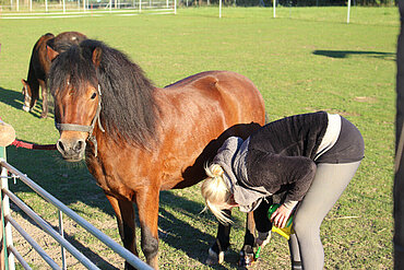Pony Dancer mit Pflegerin Doreen Huff