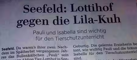 Lottihof gegen lila Kuh