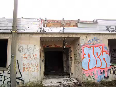 erhängte Katze erhängte Katze