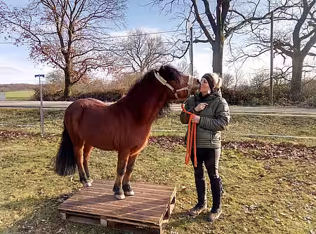 Küsschen und Belohnung beim Training
