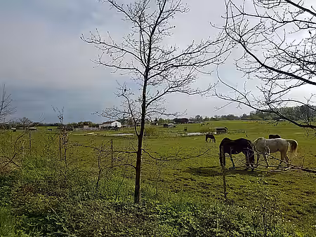 die Wiesen des Lottihof