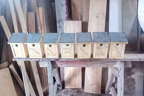 Nistkasten auf dem Lottihof