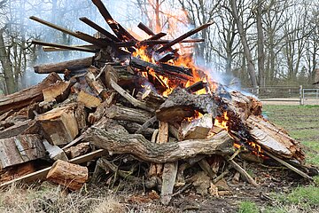 Durch das Umschichten VOR dem Anzünden können Tiere wie Mäuse und Igel, die sich im Holzstapel versteckt haben, flüchten.
