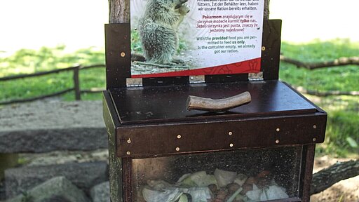 Was in dieser Box liegt, darf an die Alpen-Murmeltiere verfüttert werden