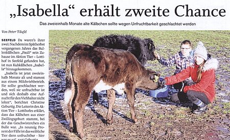 18. Februar 2019 | Schweriner Volkszeitung | "Isabella" erhält zweite Chance