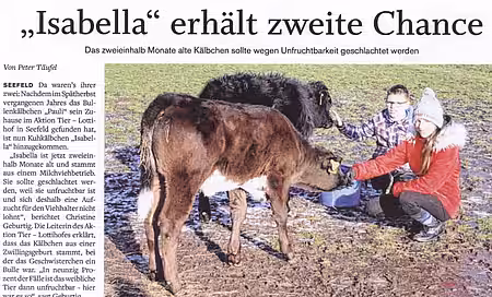 18. Februar 2019 | Schweriner Volkszeitung | "Isabella" erhält zweite Chance