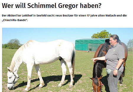 Wer will Schimmel Gregor haben? 