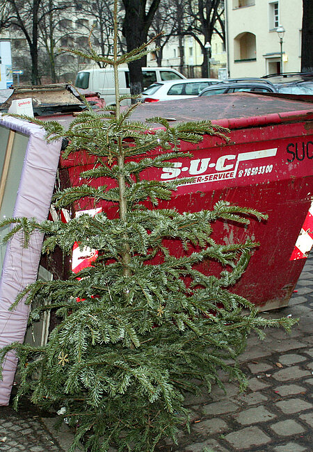 In meiner Familie wird Baumschmuck vererbt, hier wurde er gleich mit entsorgt.