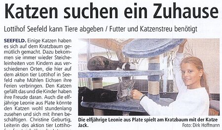 7. August 2019 | Ostseeanzeiger | Katzen suchen ein Zuhause