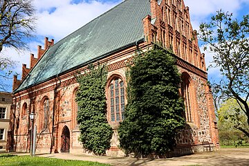 Efeu an einer Kirchenfassade. Efeu an einer Kirchenfassade.
