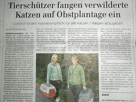 "Tierschützer fangen verwilderte Katzen auf Obstplantage ein"