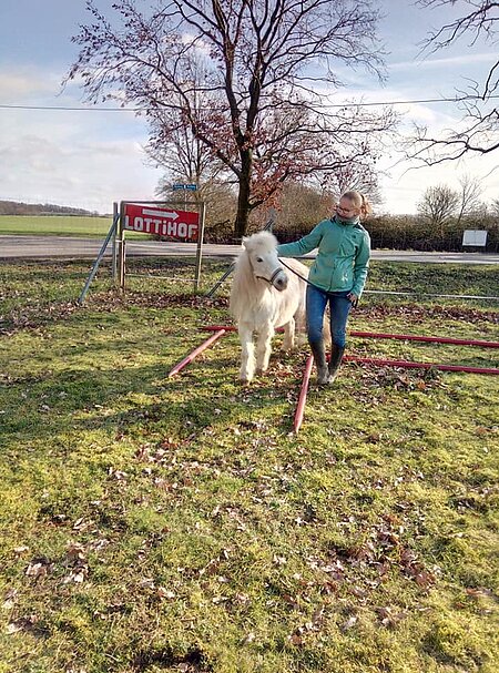 Pferd und Mensch auf dem Parcours Pferd und Mensch auf dem Parcours