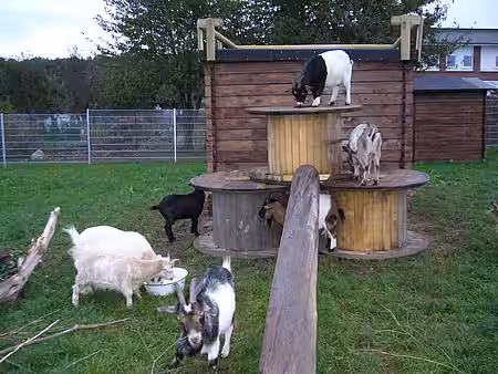 Das Ziegenhaus auf dem Lottihof