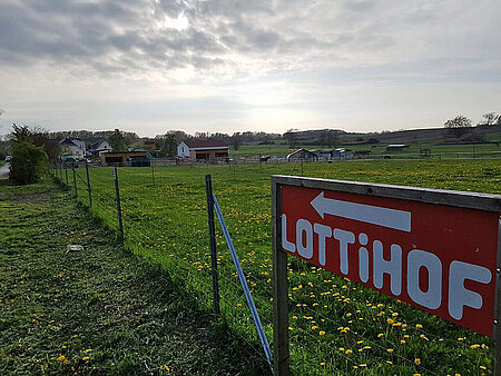 aktion tier Lottihof