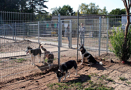 Animal Hoarding Fall Hohengörsdorf 
