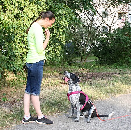 Beschäftigung bitte mit dem Hund, statt mit dem Handy! Beschäftigung bitte mit dem Hund, statt mit dem Handy!