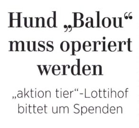 21. Januar 2021 | Ostseezeitung | Hund "Balou" muss operiert werden