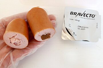 Bravecto- Kautabletten, in Wurststückchen versteckt.