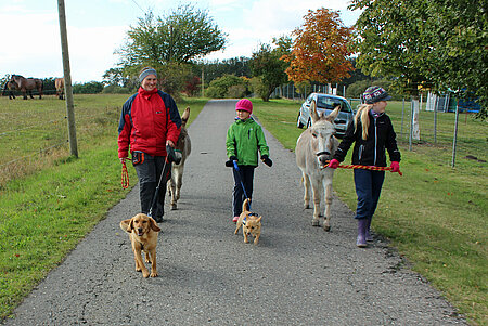 Spaziergang mit den Tieren. 